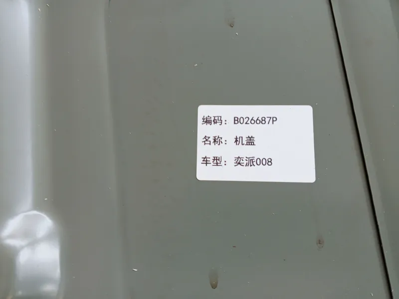 Kapot Dongfeng EP 008 — фото 1