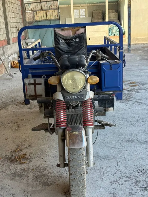 Miravoy dayang 2019