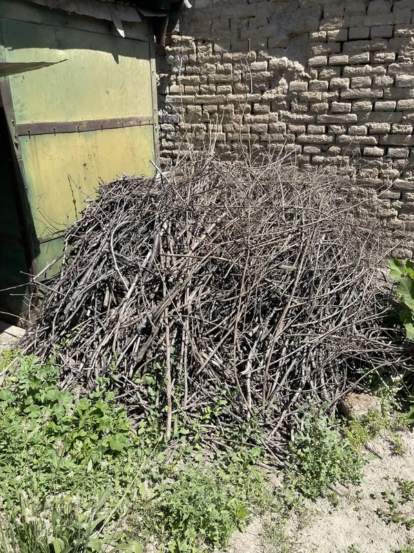 Дрова для шашлыка