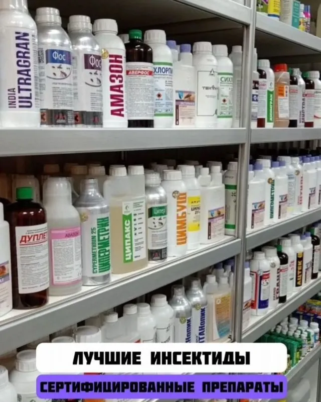 Дезинфекция домов, квартир. — фото 4