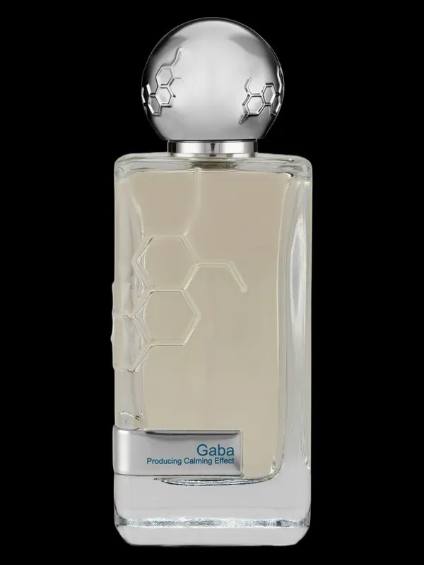 Gaba,Stronger with you,Allure home,YSL,Dior Bois Talisman,Blonde Amber 1