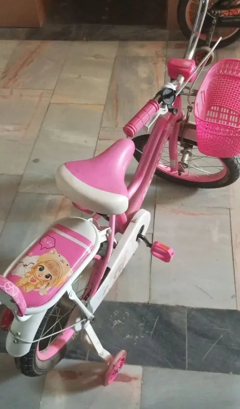 velosiped bor yo‘g‘i bir marta haydalgan — фото 4