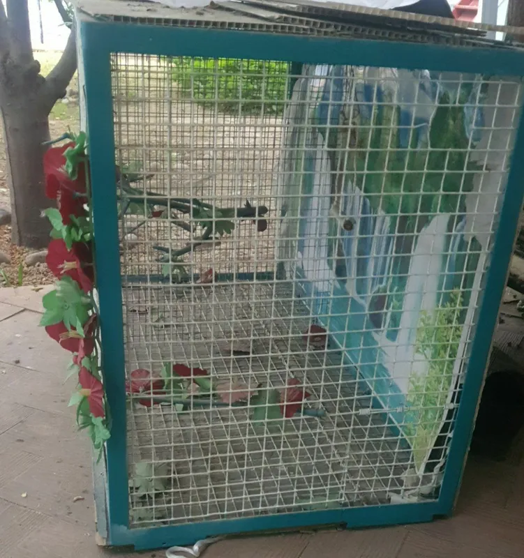 Птичий домик 100 см 50 см 2