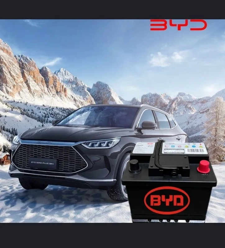 Акумулятор Akumlyator Akkumulyator BYD БЙД оргенал 1