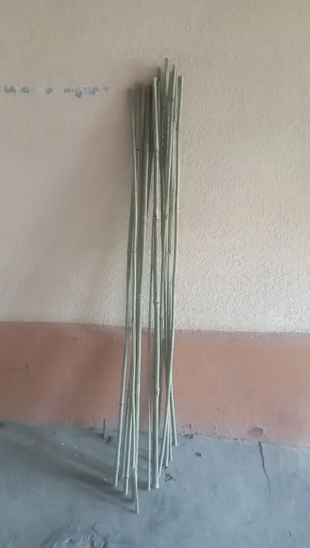 Бамбук для разных целей