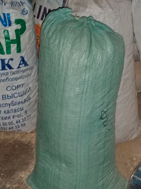 .Toshkentda quruq apilka bor — фото 1