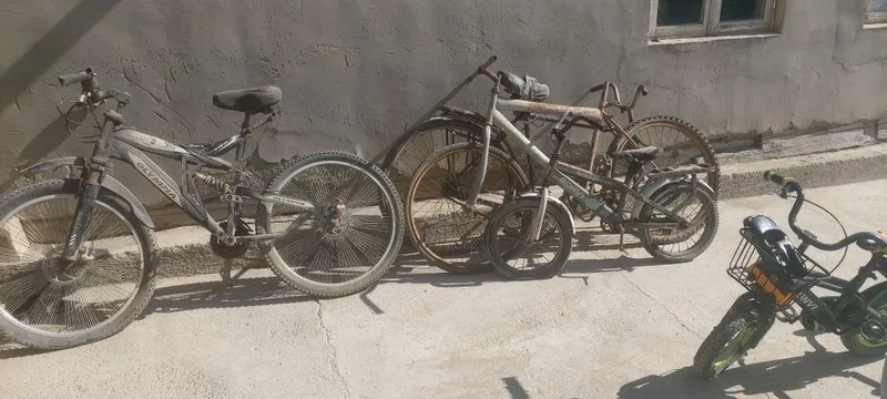 Velosipedlar sotiladi optom 4