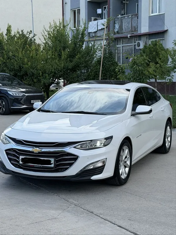 Malibu 2.4 Mator Kraskasi tozza 100% 1 Malibu 2.4 Mator Kraskasi tozza 100% 1