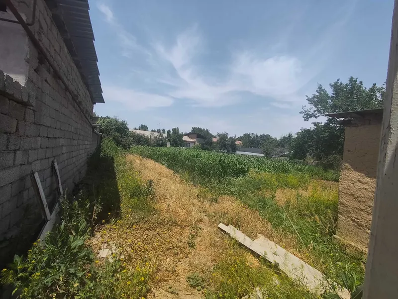 Ер, 4,5 сотихдан 2 та, Тинчликда, кулай локация — фото 2