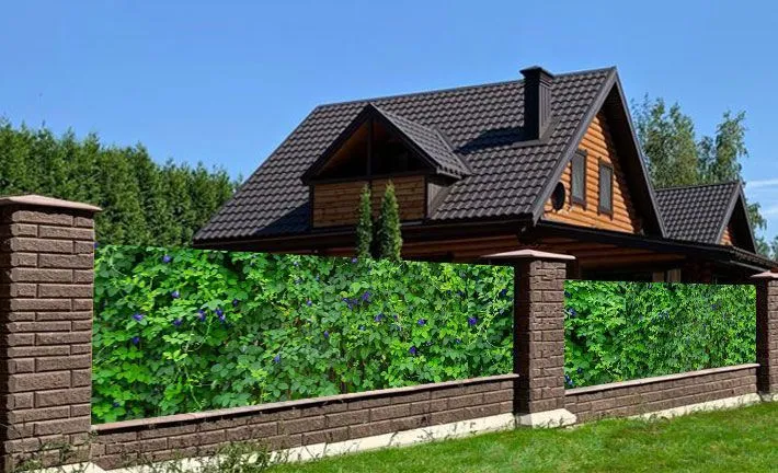 Banner, avtotent, Баннер и тент — фото 4