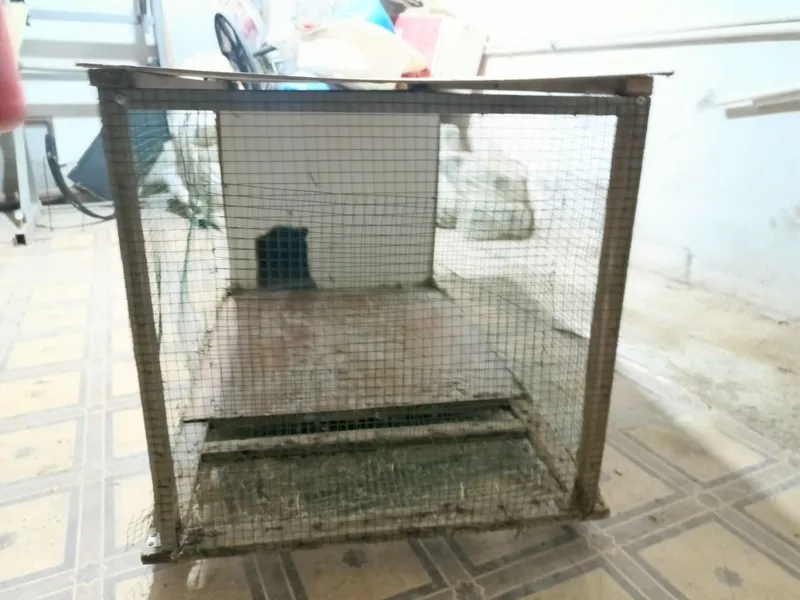 Quyon qafasi sotiladi 3