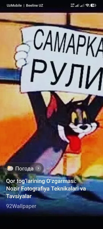 Самарканд дача отдых — фото 4
