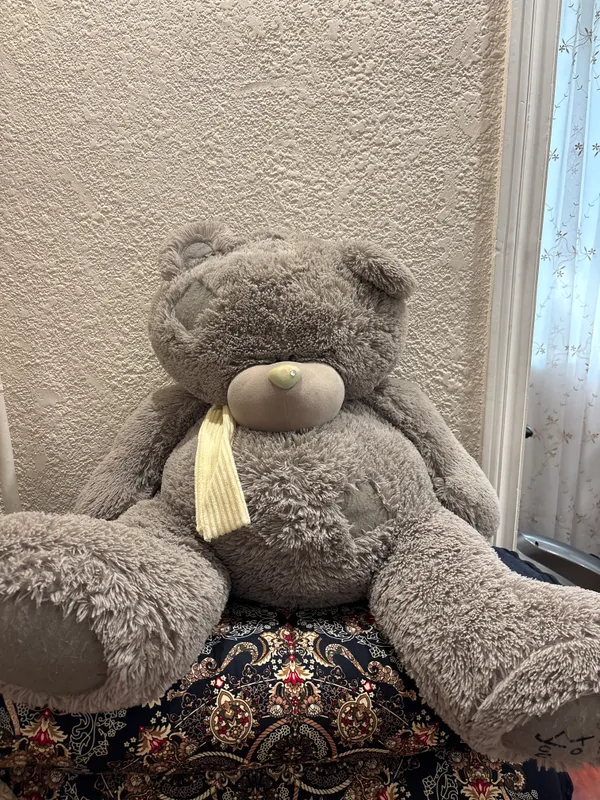 Мишка Teddy