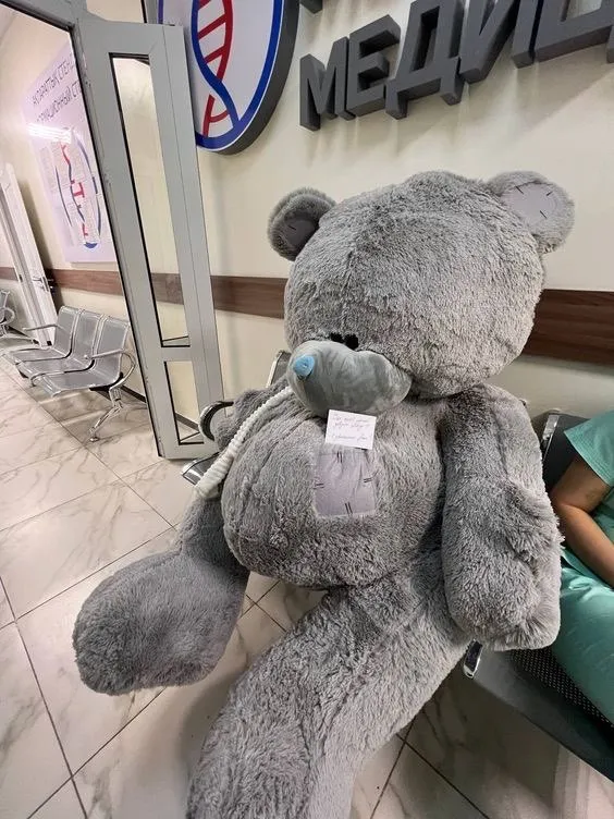 2 metrli Teddy ayiqcha 1 2 metrli Teddy ayiqcha 1