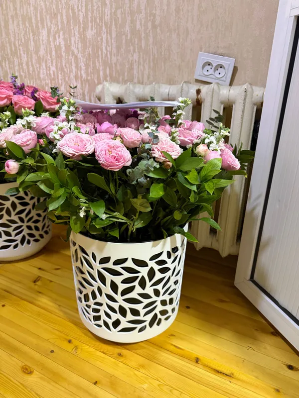 Свежие