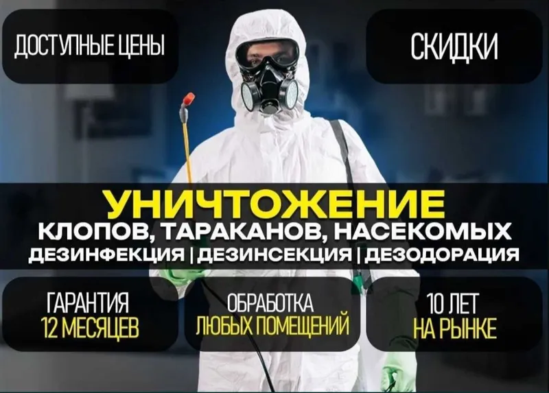 Дезинфекция от клопов тараканов крыс мышей скорпионов ос мух блох — фото 2
