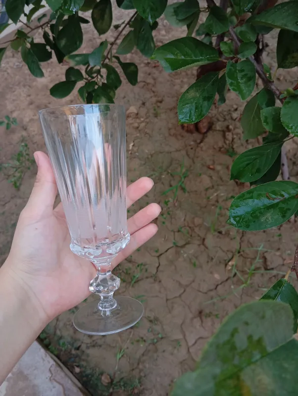 toza xrustal 5