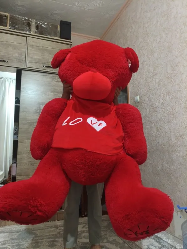 Teddy ayiqcha katta