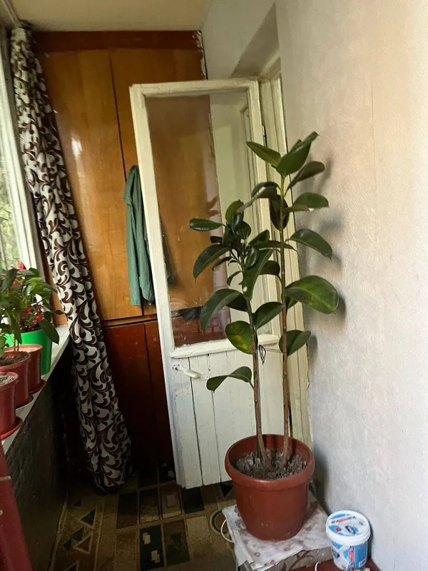 Продажа квартиры 5