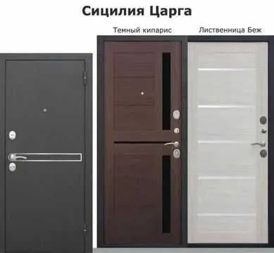 . Двери. Входные двери. Temir eshik. Темир ешик 1 1