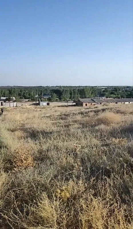 СРОЧНО! 4 Гектара в Кибрае по цене ниже рынка — фото 1