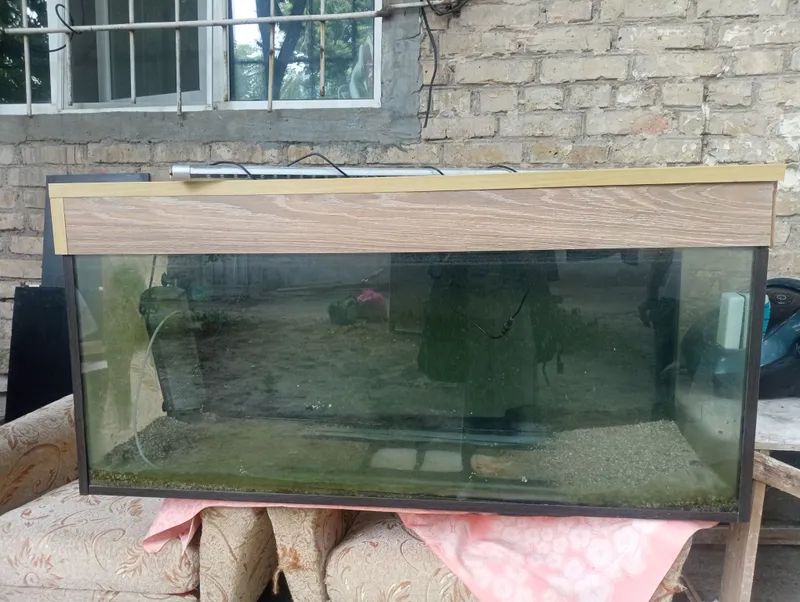Akvarium 120\50 sm Tigida Padstavkasi bor