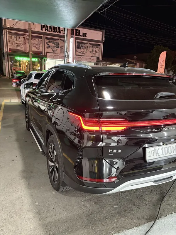 Byd Chempion 2024 full 605 4