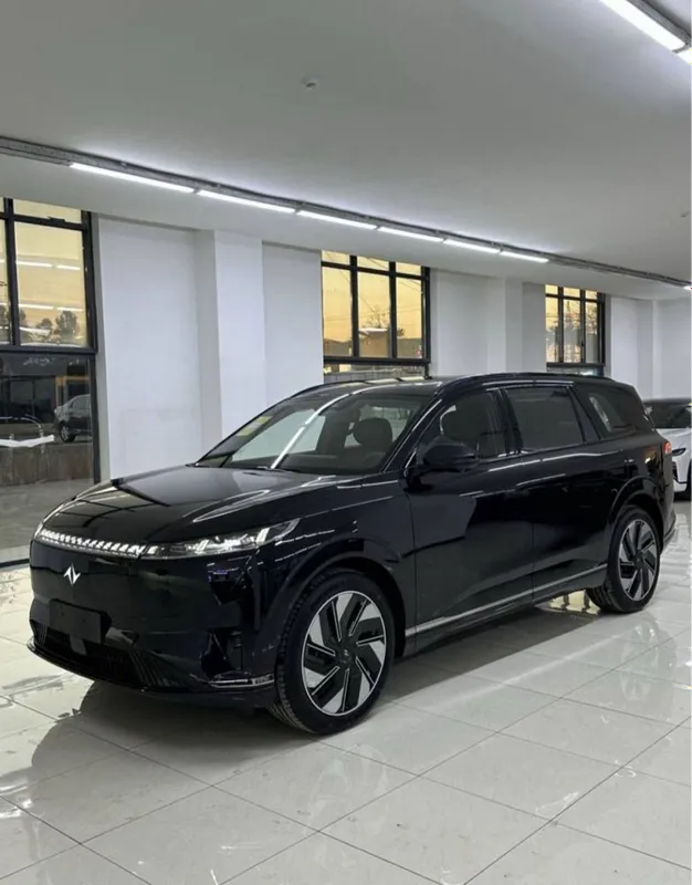 Dongfeng 008 gibrid — фото 2