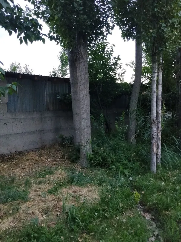 Теракларимиз. бор, сотиладиган 2