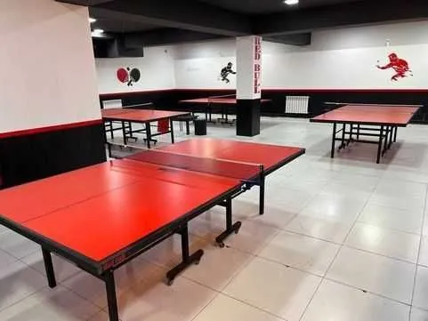 . Теннисный стол /ping pong 1 — фото 4