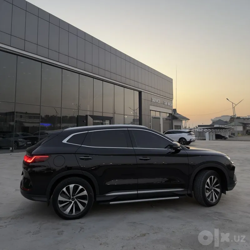 Byd champion restyling 6 Byd champion restyling 6
