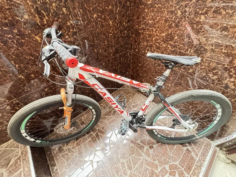 Велосипед Casia BM750