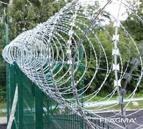 Егоза , форма оплаты любая