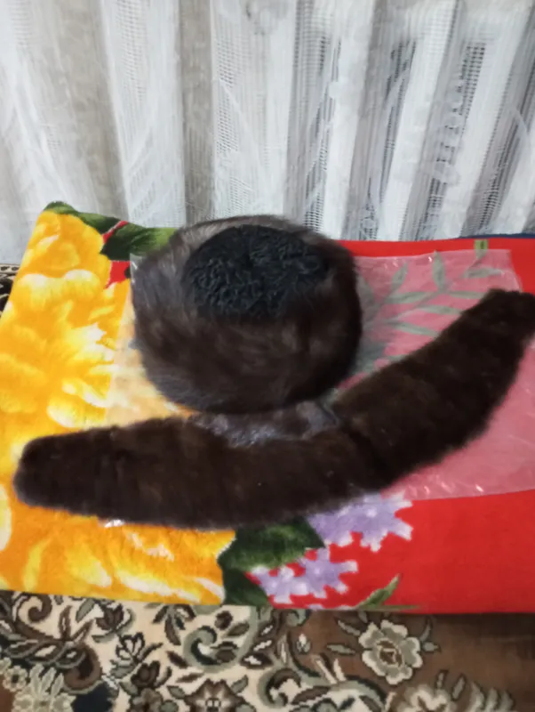 Mo‘ynali qalpoq va yoqa 3 Mo‘ynali qalpoq va yoqa 3