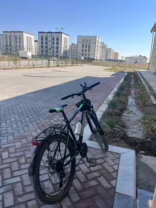 Drongo velospedi