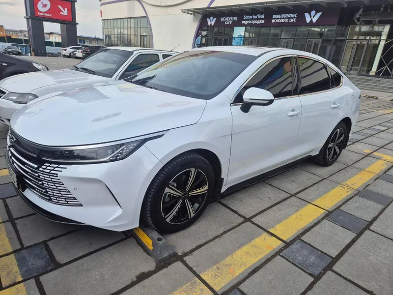 Byd chazor full pazitsiya