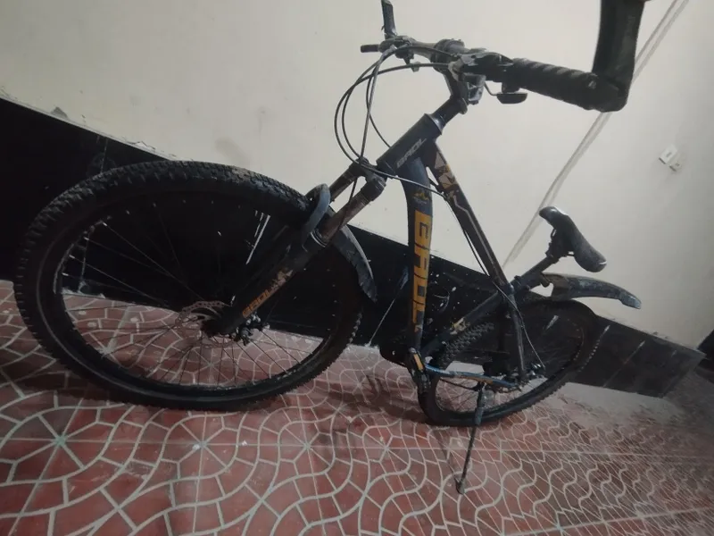 Velosiped 28 BAOL 2 Velosiped 28 BAOL 2