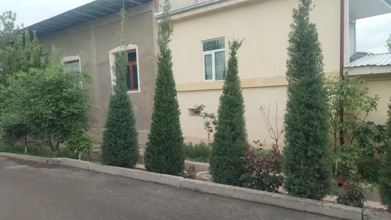 Archa ekish archa kesish