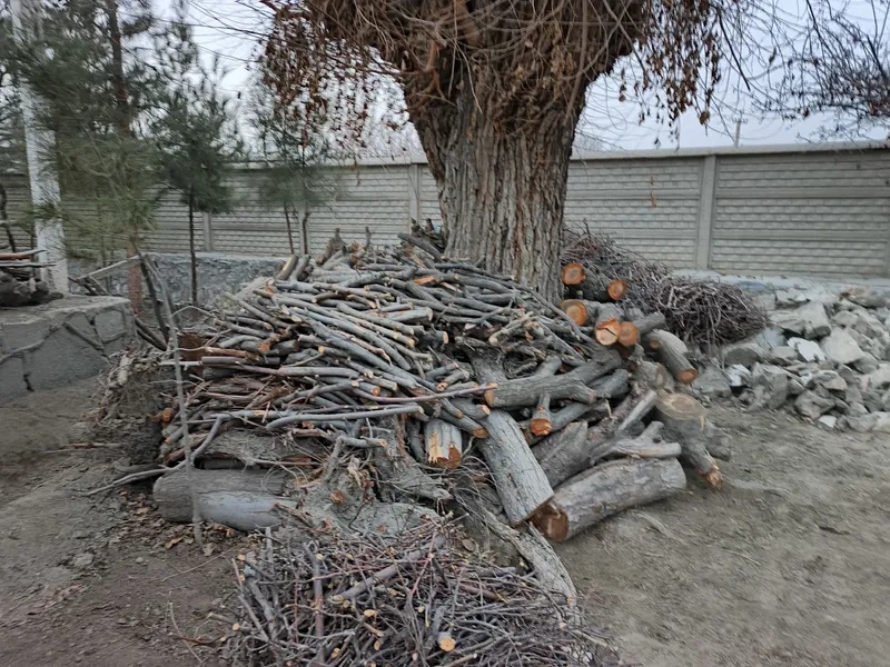 Bir ISUZU yuk moshin o'tin va kunda bor. Narxi 3 mln (bo'lishi shu). — фото 7