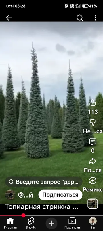 Все садовые работы — фото 2