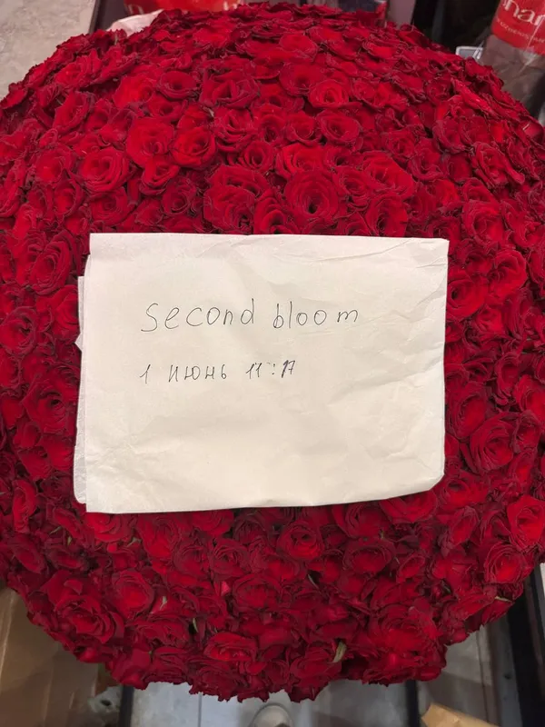 Букет из 1001 красных роз