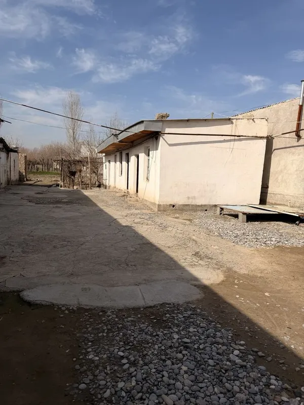 Ховли сотилади навои колхоз — фото 2