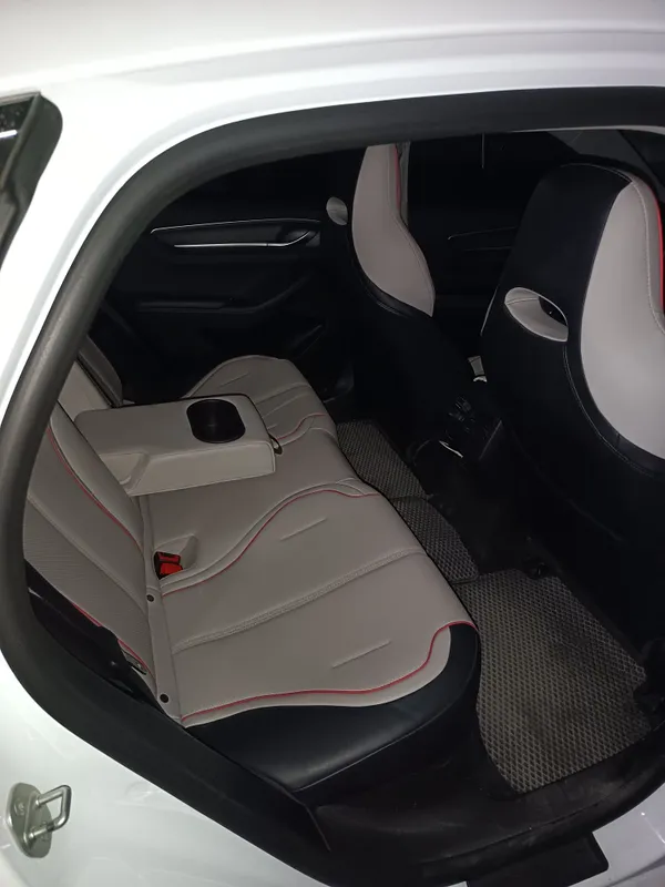 byd chazor GIBRID 6 byd chazor GIBRID 6