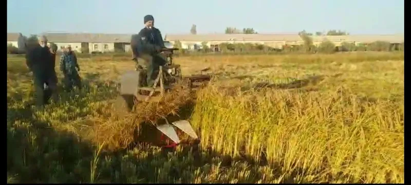 Sholi va beda o'rish uchun Jadka 2,1 m 2