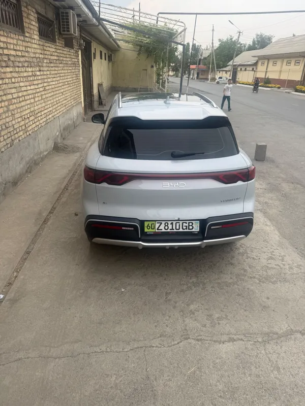 yuan up byd 2025 4 yuan up byd 2025 4