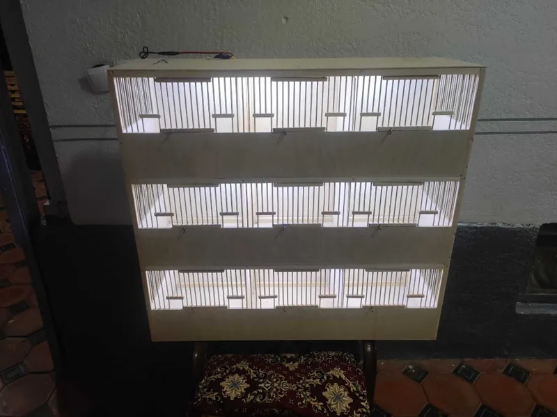 Bedana qafaslar sotiladi 2 Bedana qafaslar sotiladi 2