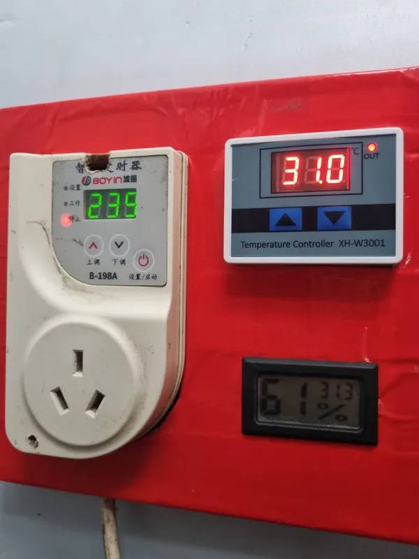 Inkubator sotiladi 50talik avtomat 3
