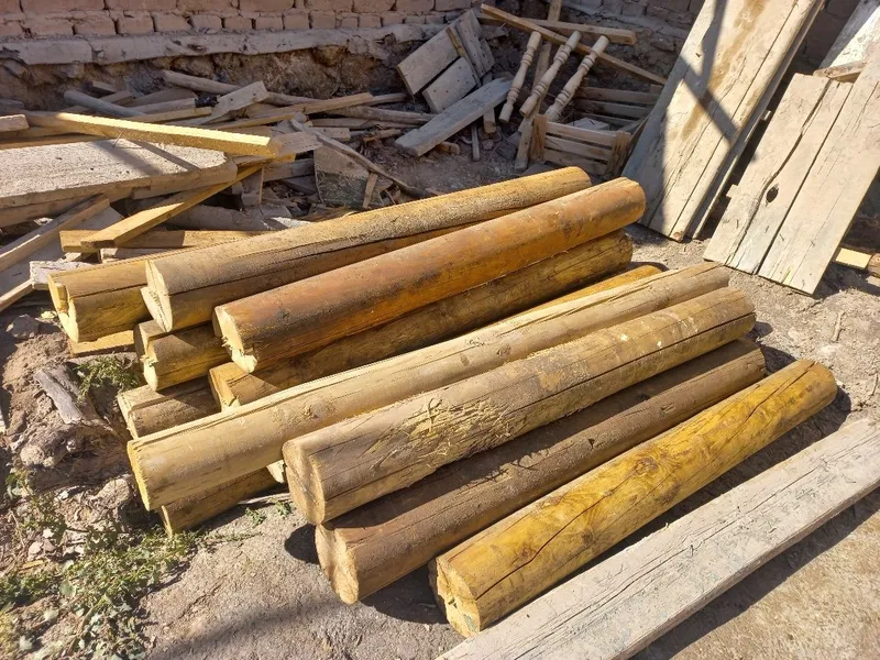 Қарағай кругляк 1,20 см