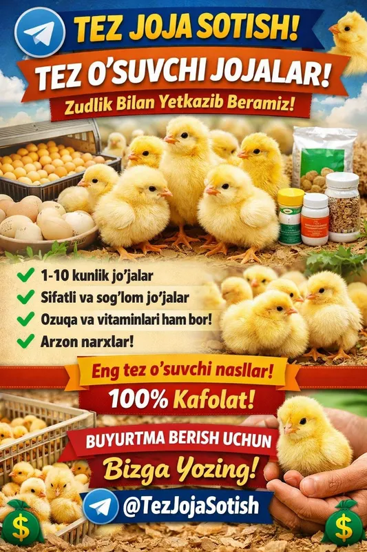 Eng tez o'suvchi jòjalar loman sendi paroda