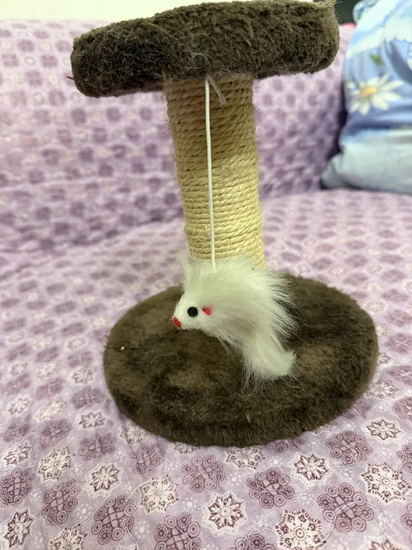 Когтечка для котят